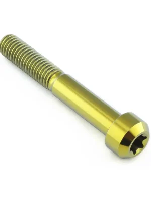 Pro-Bolt titanový torx šroub s cylindrickou hlavou se závitem M10 x 1.50mm a délkou 65mm, barva zlatá Top Prodej