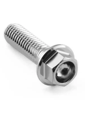 Sezónní Sleva Pro-Bolt nerezový šroub s šestihrannou hlavou se závitem M8 x 1,25 mm a délkou 28 mm, barva leštěná